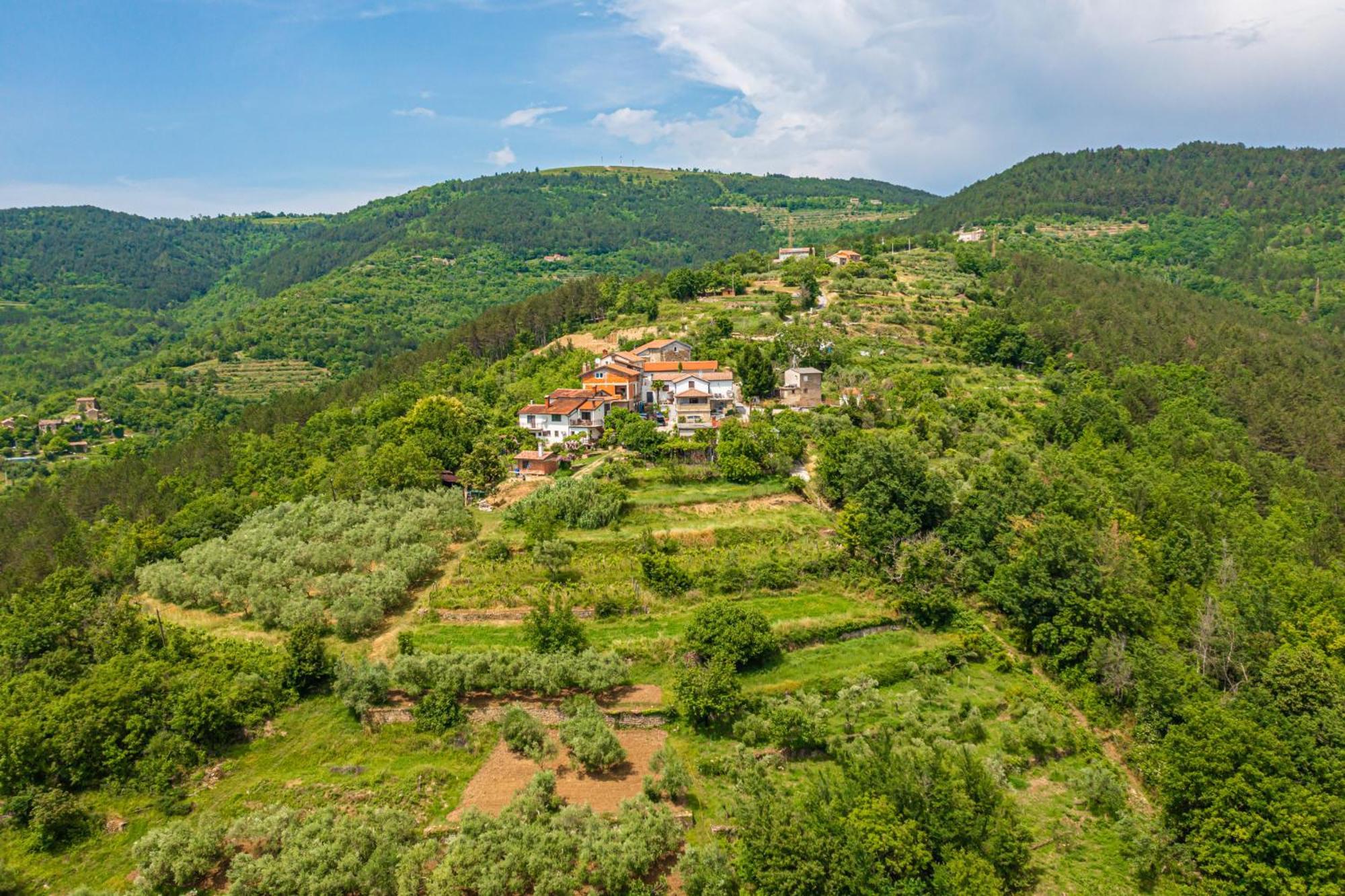 Holiday Home Belveder Motovun With Heated Pool Livade Екстериор снимка