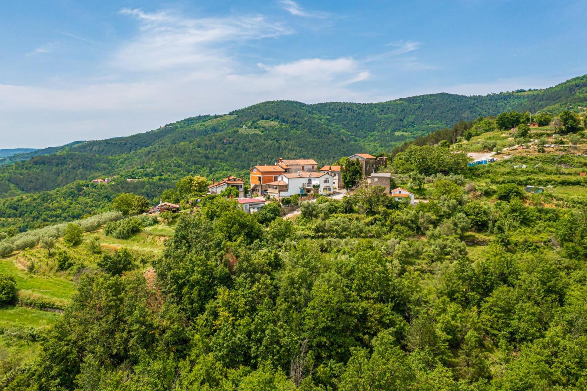 Holiday Home Belveder Motovun With Heated Pool Livade Екстериор снимка
